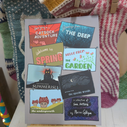 The Year Of Catsock Adventures - printed book