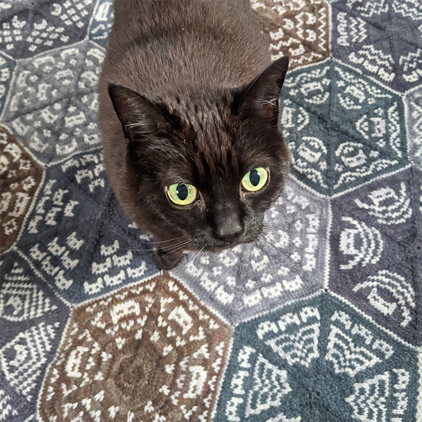 Kaleidocatty blanket - printed pattern