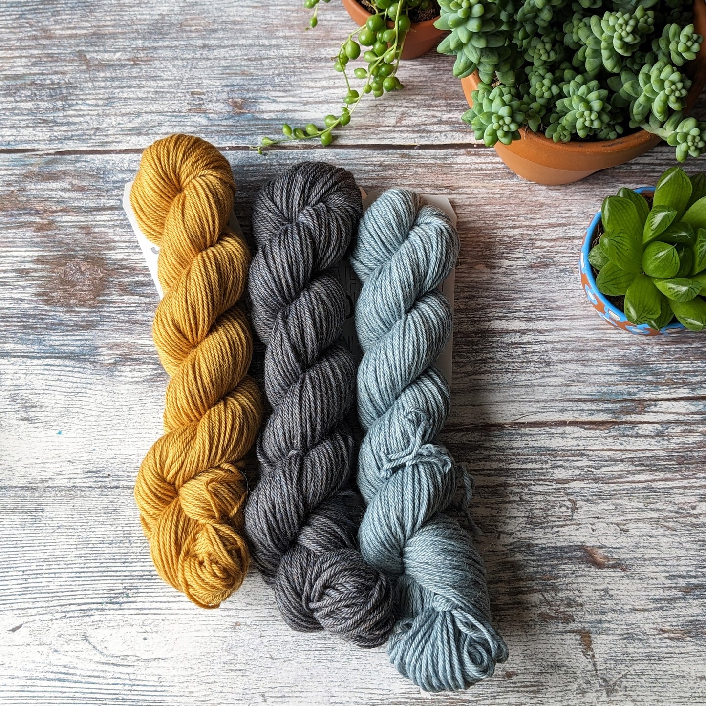 Peeky catsock yarn pack