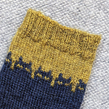 Load image into Gallery viewer, Simpler Sinister Catsock - printed pattern
