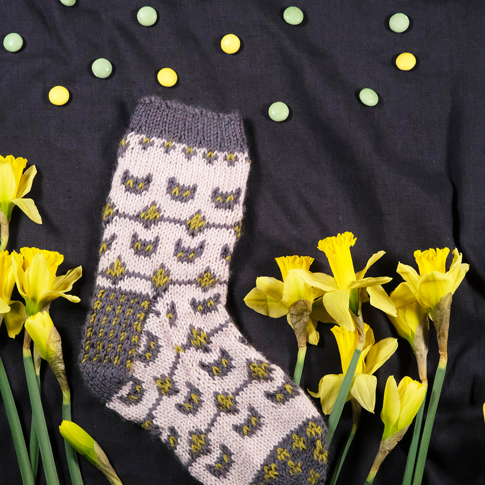 Choose Your Own Catsock Adventure Two (download)