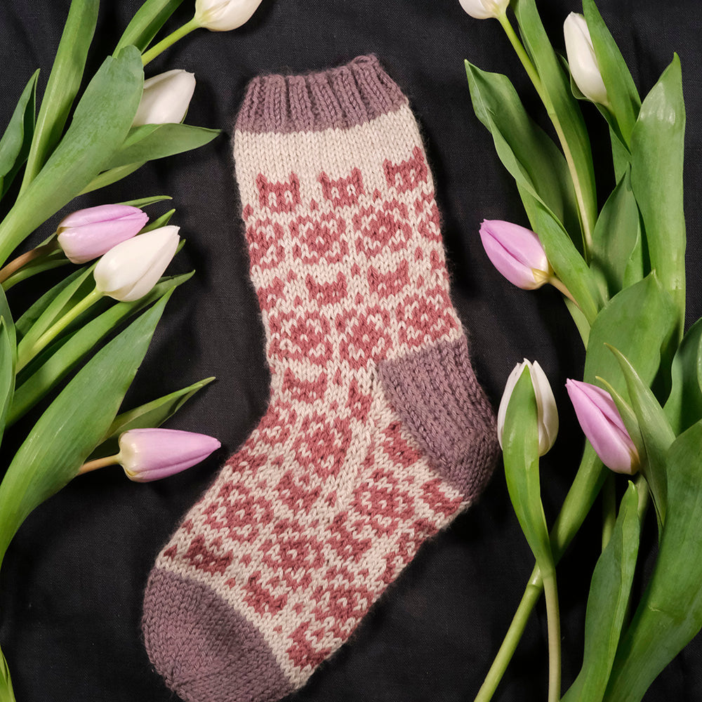 Choose Your Own Catsock Adventure Two (download)