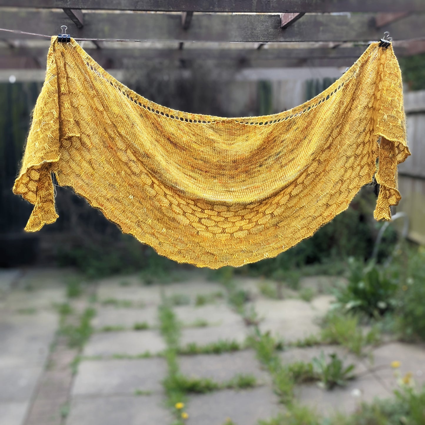 Hive Shawl Kit