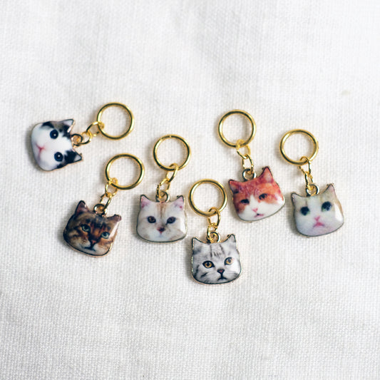 Amazing/ terrifying catfaces