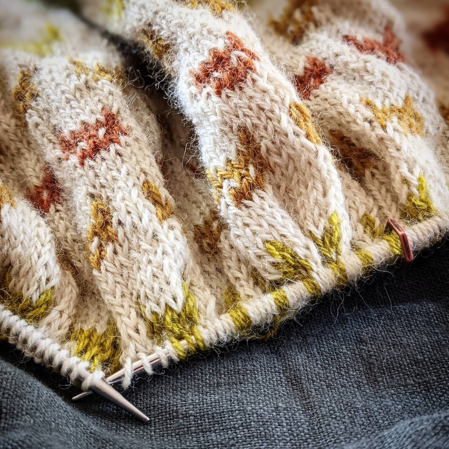 Polka Cats sweater/ cardigan - printed pattern