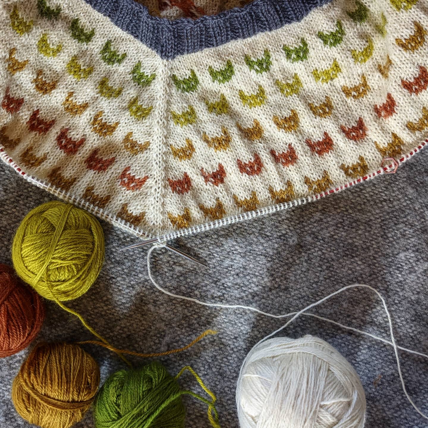 Polka Cats sweater/ cardigan - printed pattern