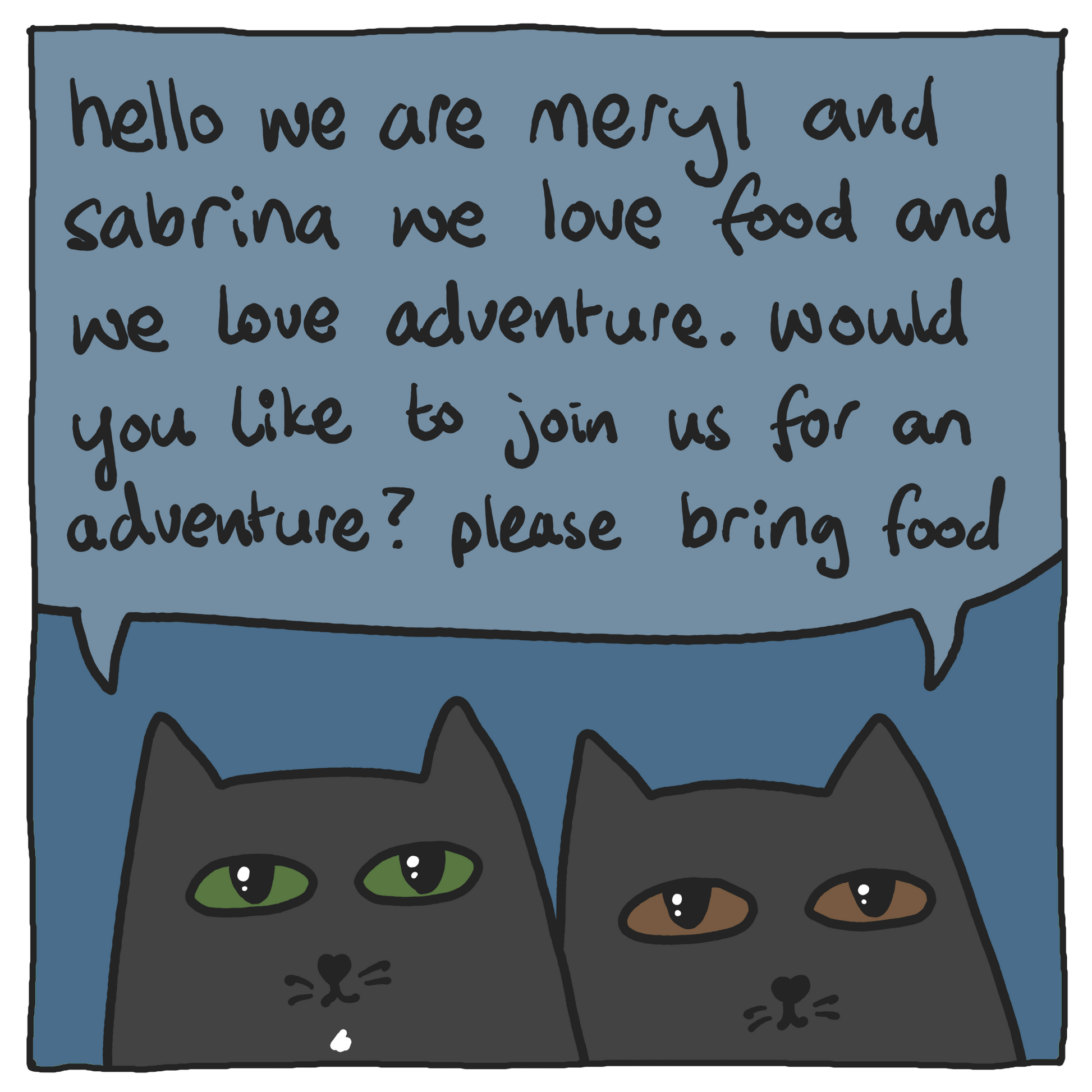 Two cartoon cats with a speech bubble containing text inviting someone to join them for an adventure.