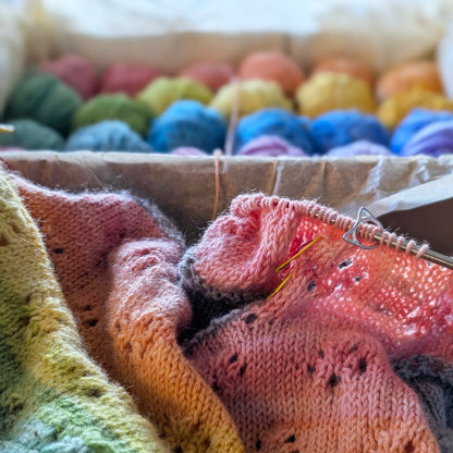 The Toebean Top - pattern download