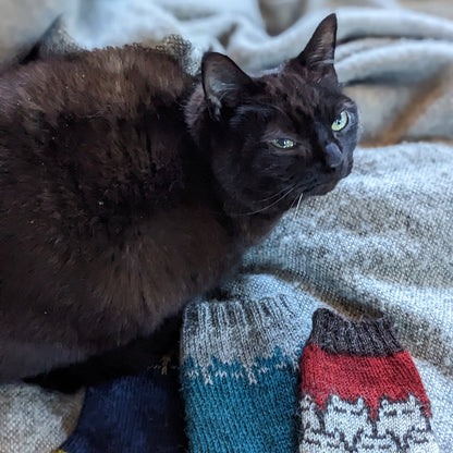 Sinister Catsock - printed pattern