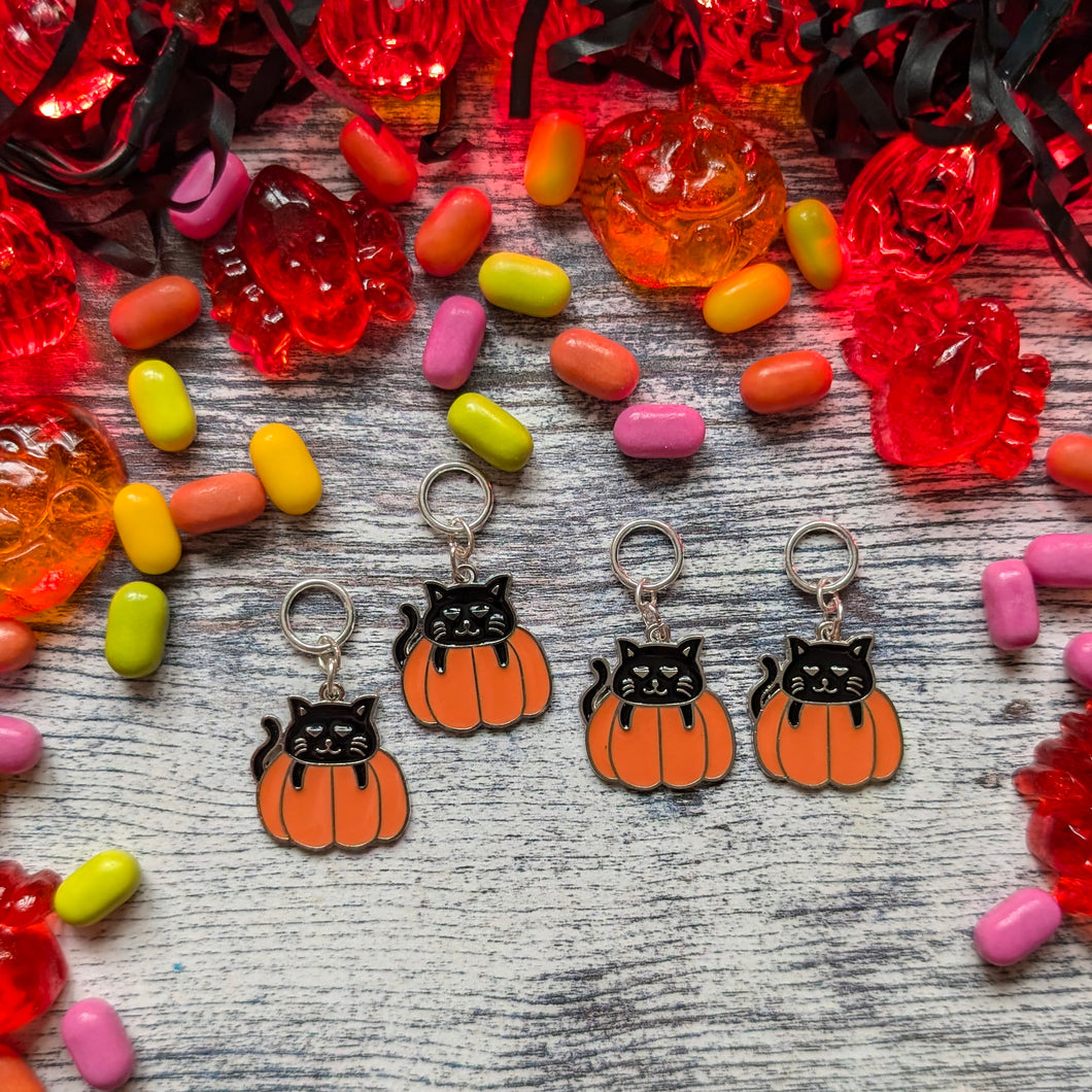 Cat IN a pumpkin stitchmarkers