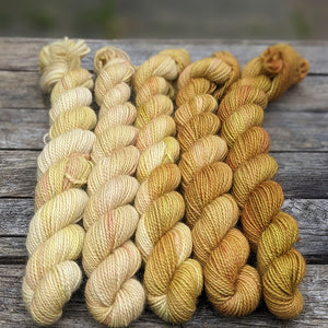 Harvest - mini-skein fade set - fingering weight