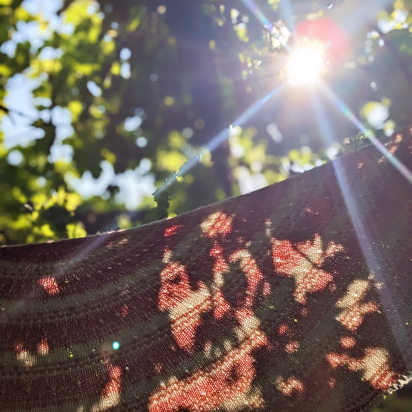 Pollen - printed pattern