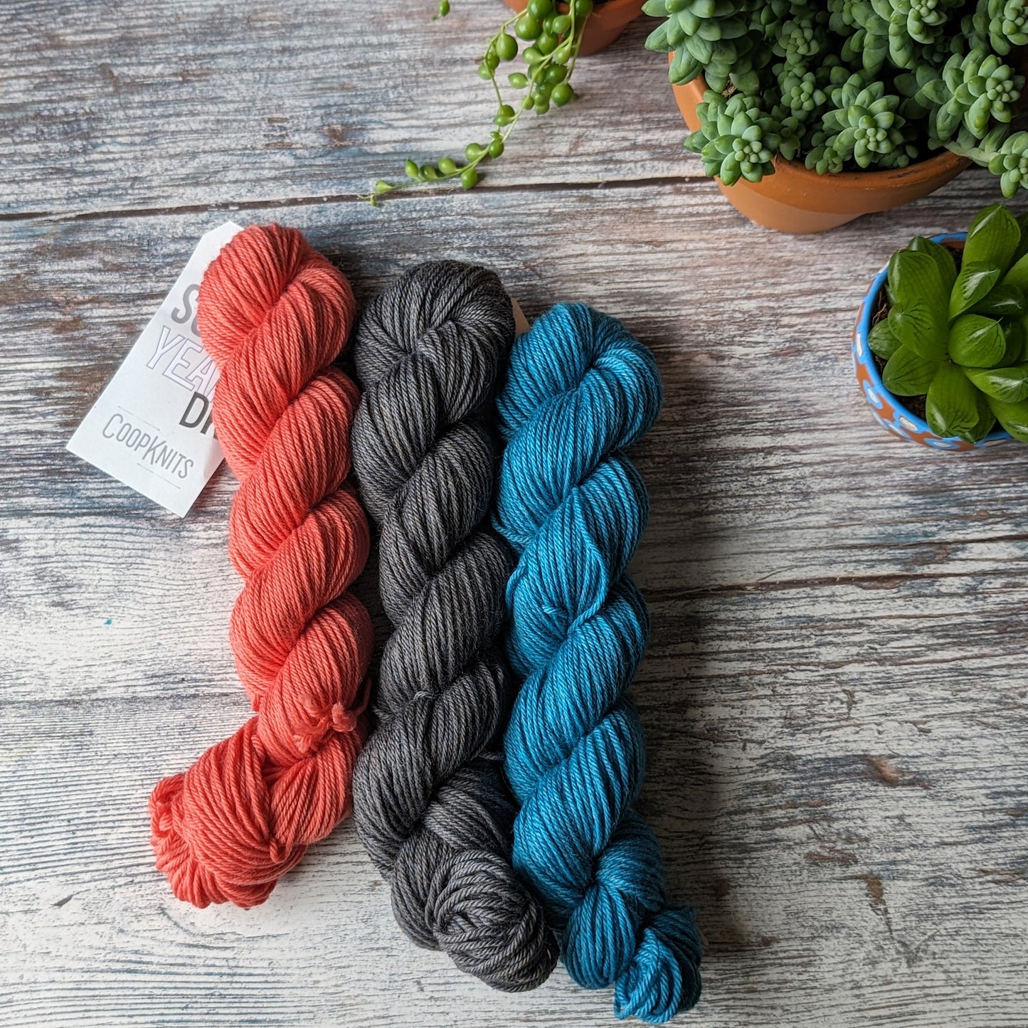 Peeky catsock yarn pack