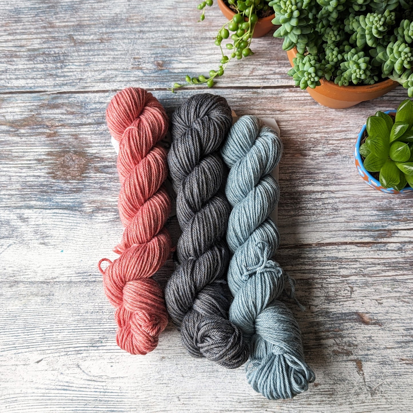 Peeky catsock yarn pack
