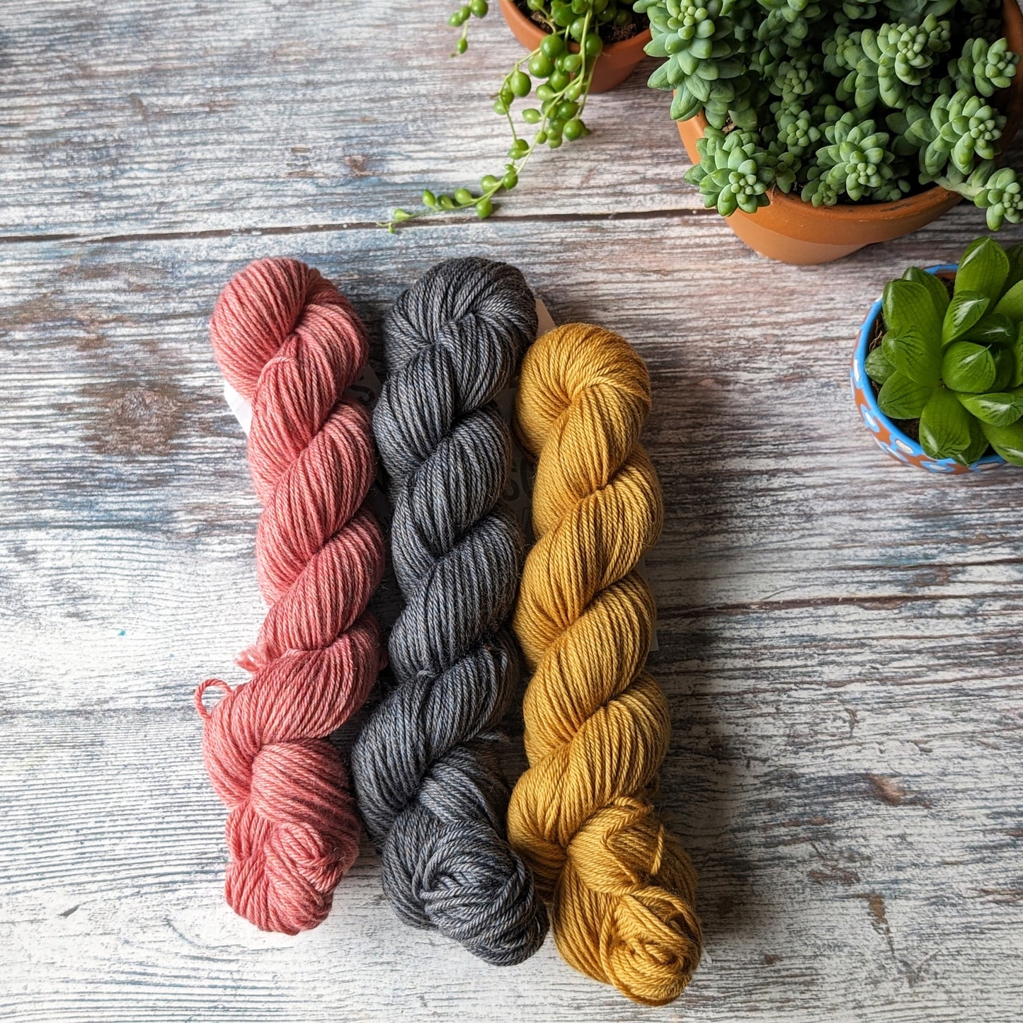 Peeky catsock yarn pack