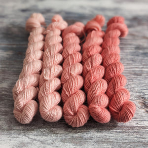 Peony - mini-skein fade set - fingering weight