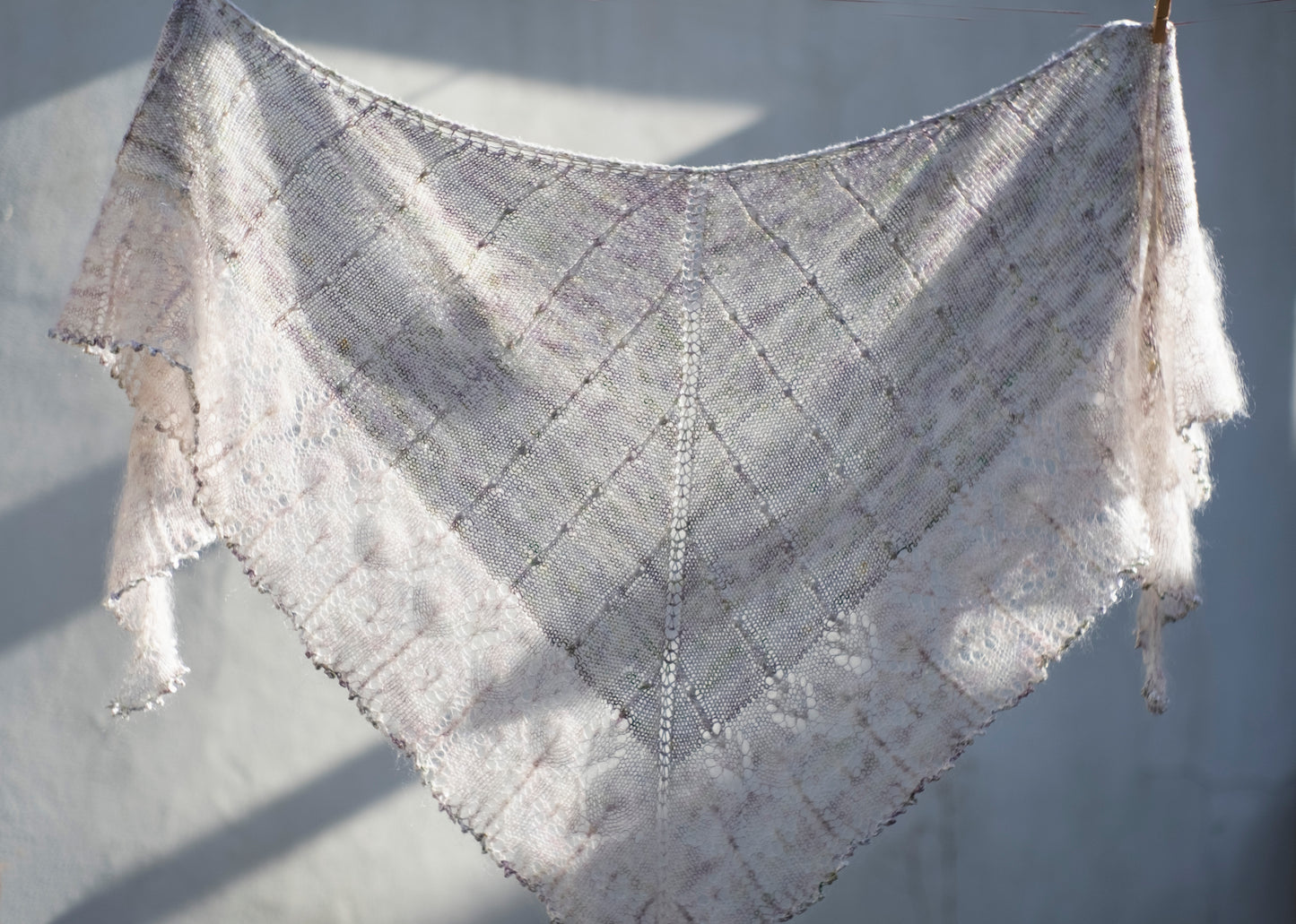 Twig & bug - shawl kit