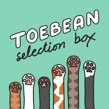 Load image into Gallery viewer, Toebean Selection Box
