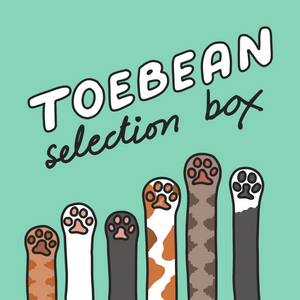 Toebean Selection Box