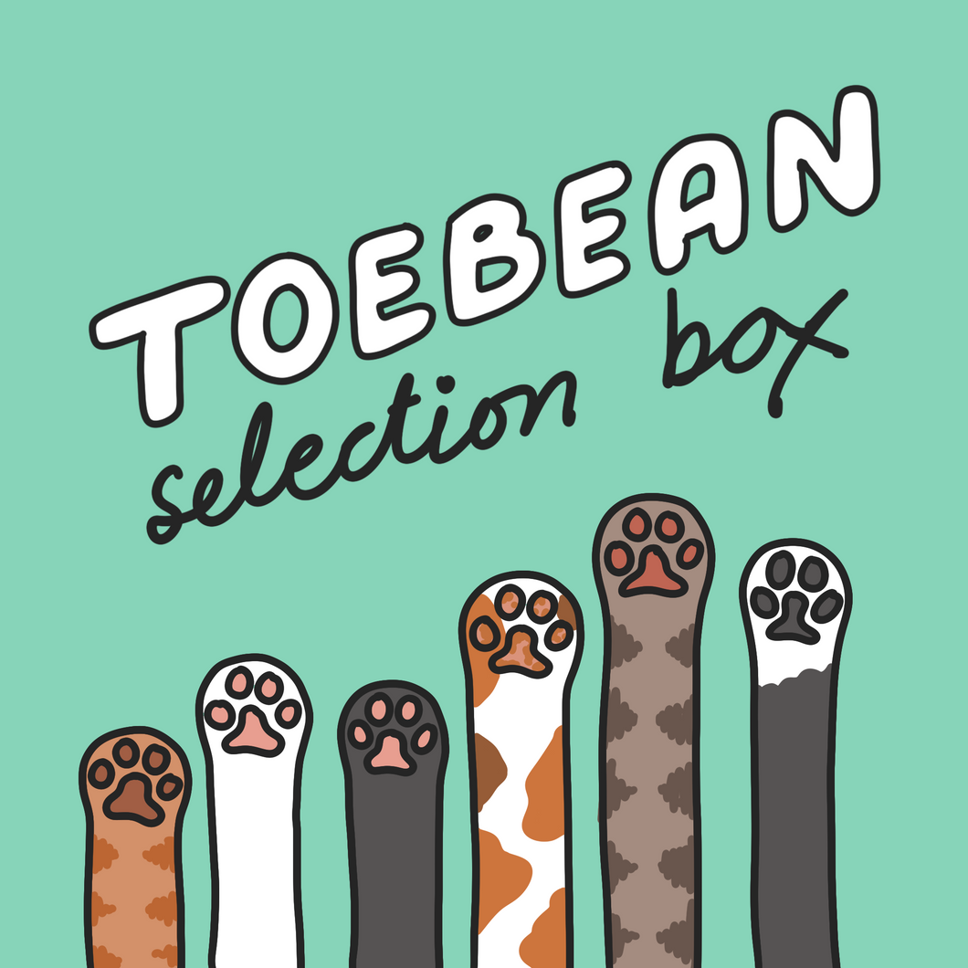 Toebean Selection Box