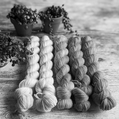 Catsock Adventure yarn-as-you-go: The Third Sock! (with colour-spoilers)