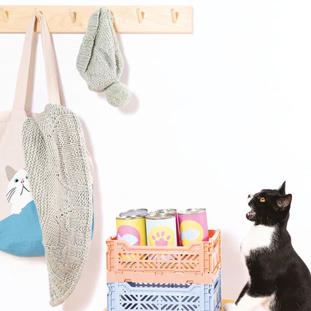 Cat Knits: the book