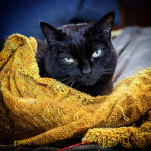 Load image into Gallery viewer, Choose yr own shawl kit: Let&#39;s play Dinosaurs!
