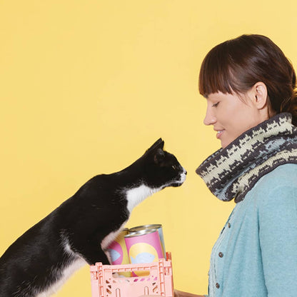 Cat Knits: the book