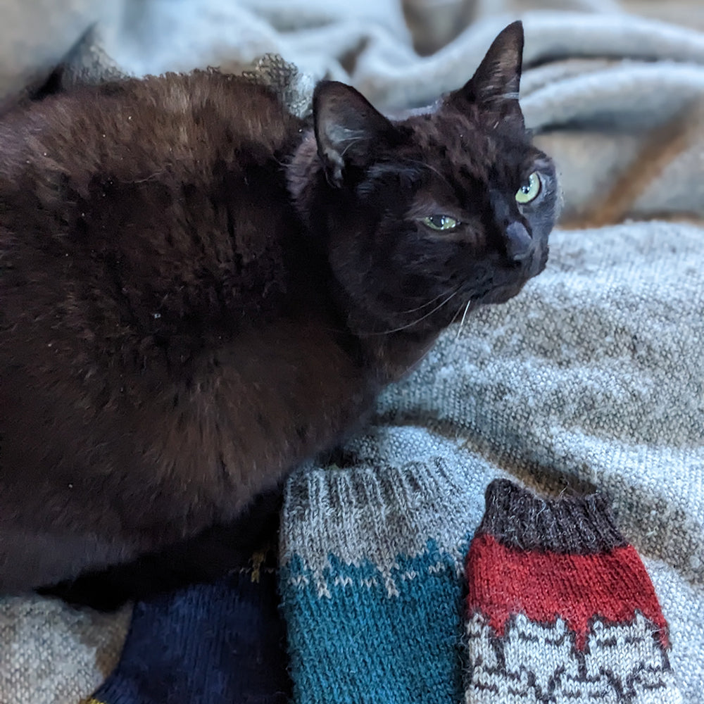 Sinister Catsock pattern - download