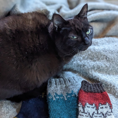 Sinister Catsock pattern - download