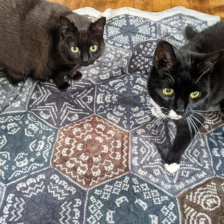Advent Calendar Kit - The Kaleidocatty Blanket - 2023