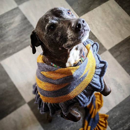 Finding Sanctuary Shawl - download