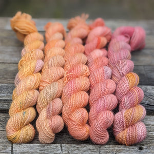 Flamingo party - mini-skein fade set - fingering weight