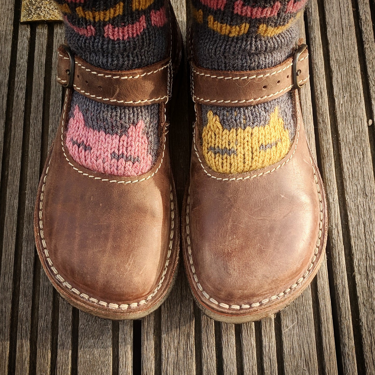 Peeky Catsocks pattern - download